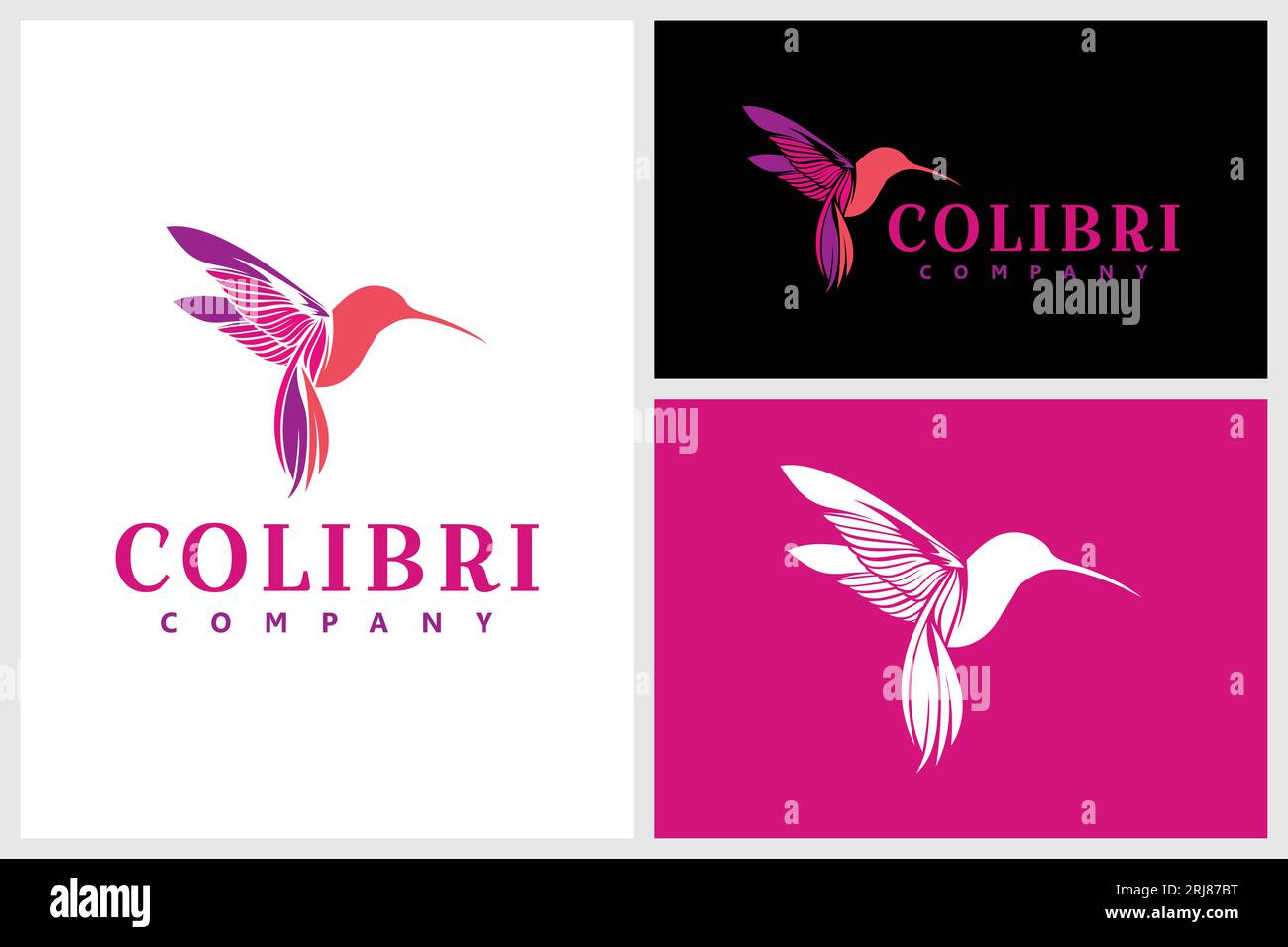 Colorato logo Hummingbird ispirazione per il design vettoriale, semplice disegno di etichette Flying Colibri Symbol Illustrazione Vettoriale