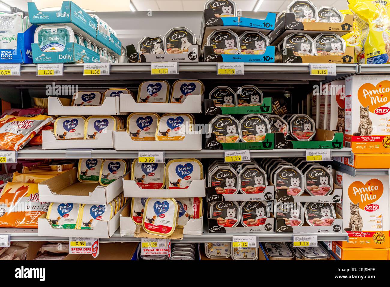 Italia - 14 agosto 2023: Alimenti per cani in vassoi di alluminio di vario tipo, gusto e marchio esposti sugli scaffali in vendita nel supermercato italiano Foto Stock