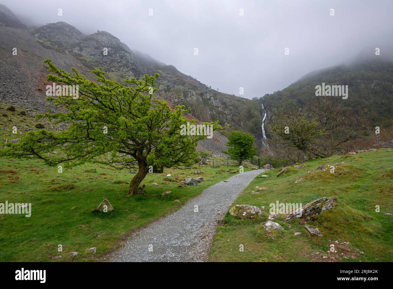 Sentiero per le cascate di Aber, una caratteristica spettacolare ai margini delle montagne di Carneddau nel Galles del Nord. Foto Stock
