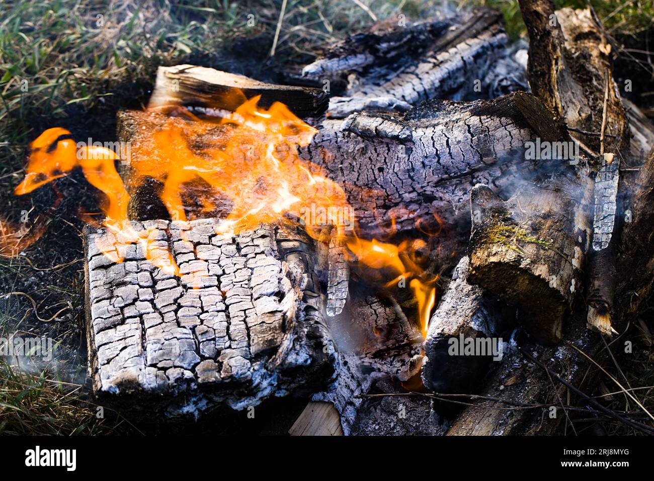Struttura in legno bruciato. Bruciare un pezzo di legno in un falò. Foto Stock