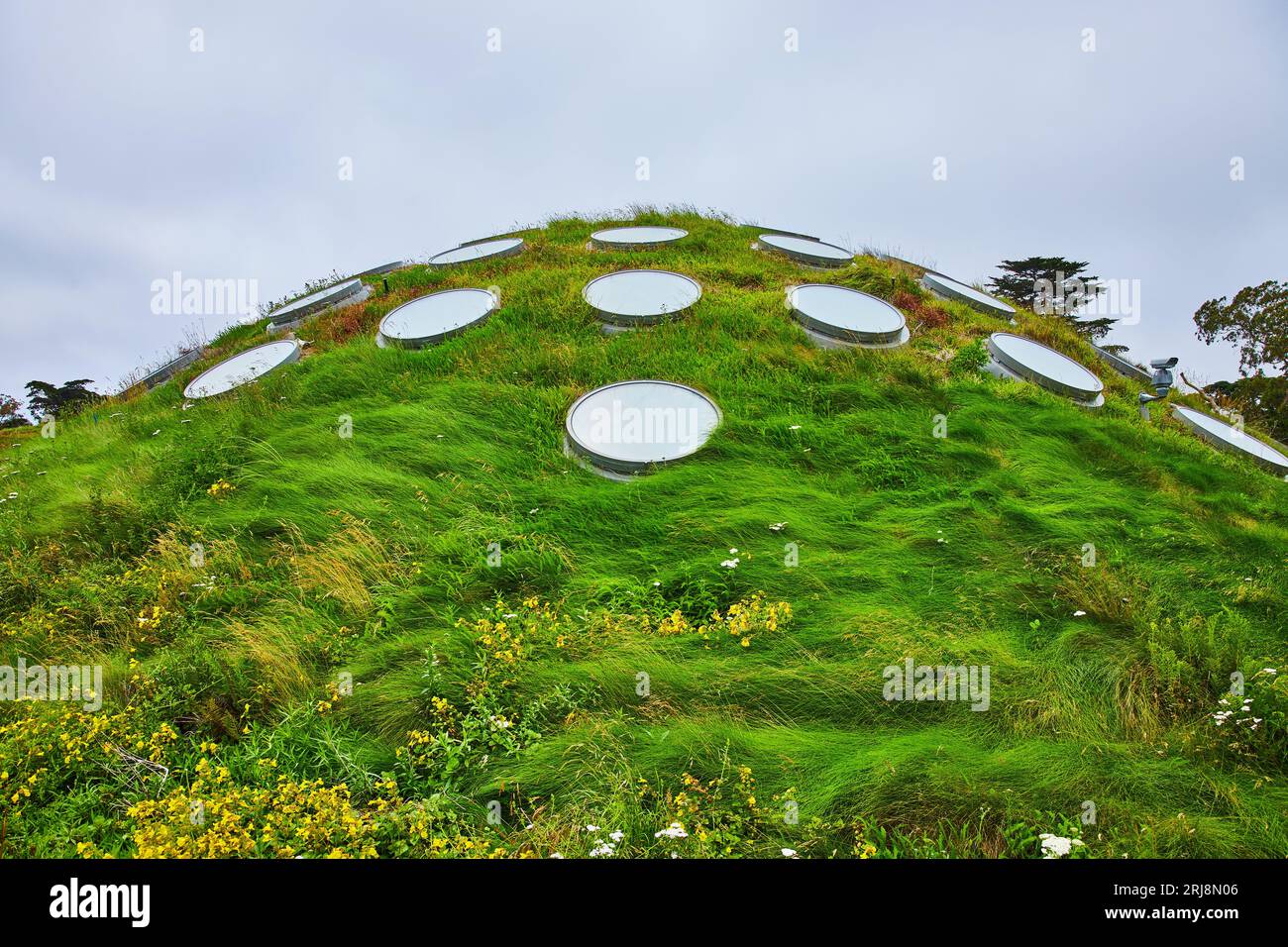 Esterno del tetto vivente dell'Accademia delle Scienze con lucernari e finta collina con erba Foto Stock