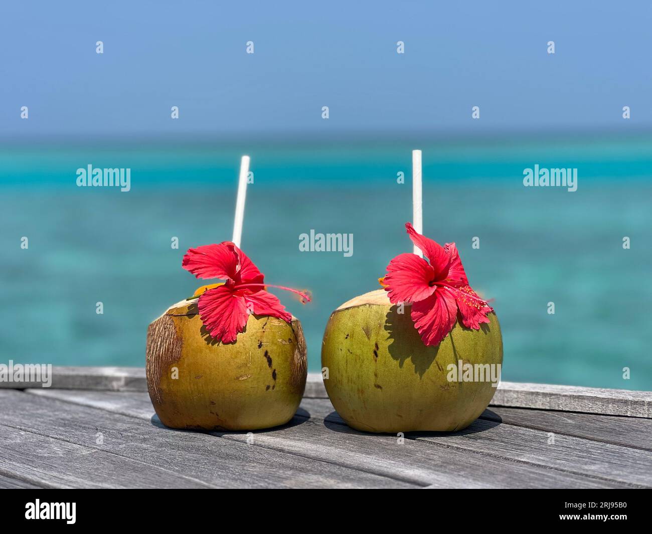 Due bevande al cocco dai colori vivaci con cannucce e ombrelloni, affiancate su una passerella sulla spiaggia con uno sfondo oceanico Foto Stock