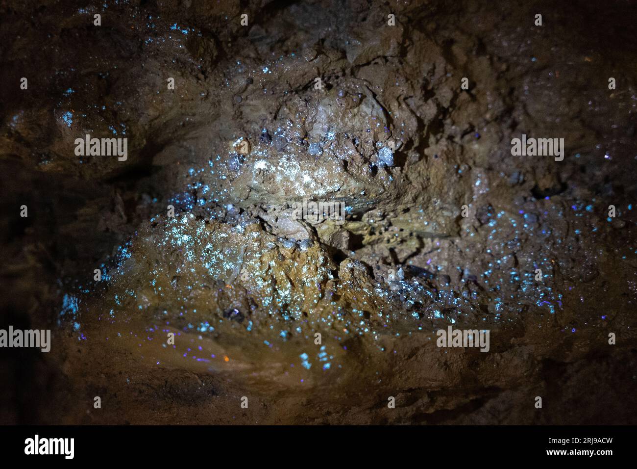 PRODUZIONE - 18 agosto 2023, Hesse, Steinau A .D. Straße: Sotto la luce UV, cristalli di manganese fluorurano e formano la cosiddetta "Nebulosa della stella del diavolo". La Grotta del Diavolo è una grotta di stalattiti vicino a Steinau, nel quartiere Main-Kinzig dell'Assia, risalente a circa 2,5 milioni di anni fa, aperta ai visitatori con visite guidate. (A dpa: "Hesse trova il raffreddamento nelle grotte e nei tunnel") foto: Lando Hass/dpa Foto Stock