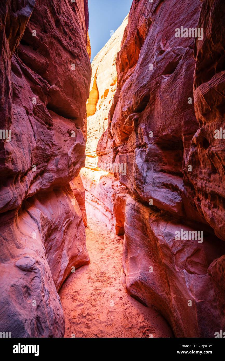 Slot canyon nel White Domes Trail nel Valley of Fire State Park, Nevada Foto Stock