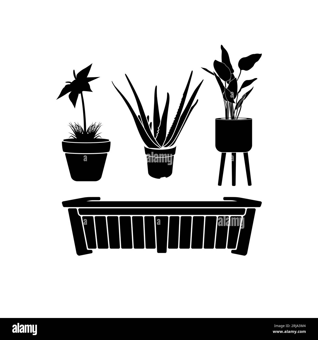 Collezione di piante ornamentali e vasi da fiori Inspirational Design Vector Illustrazione Vettoriale