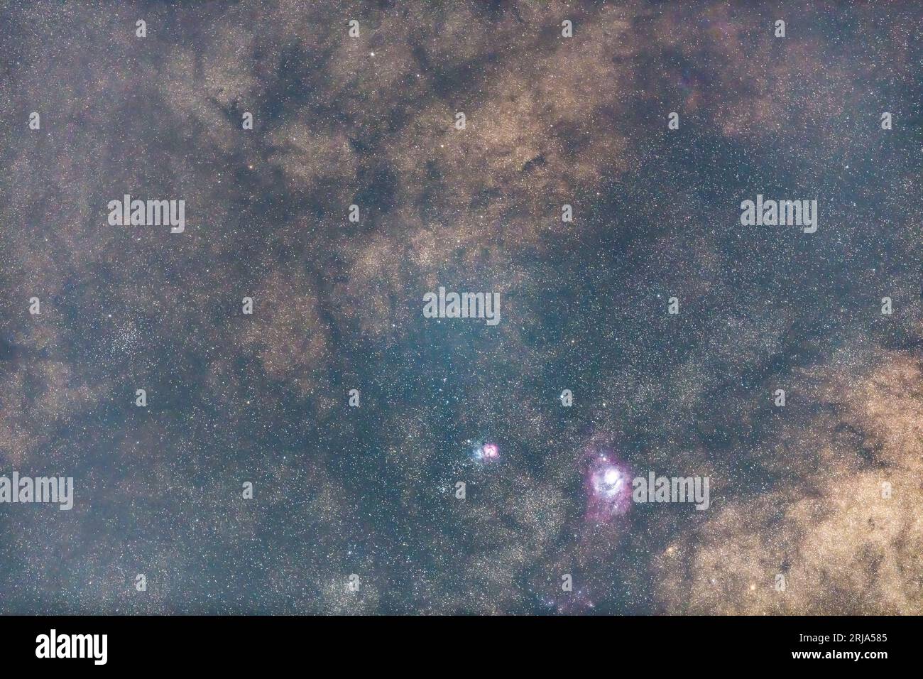 Le stelle e la via Lattea da un cortile di Umina Beach sulla costa centrale del New South Wales, Australia. Foto Stock