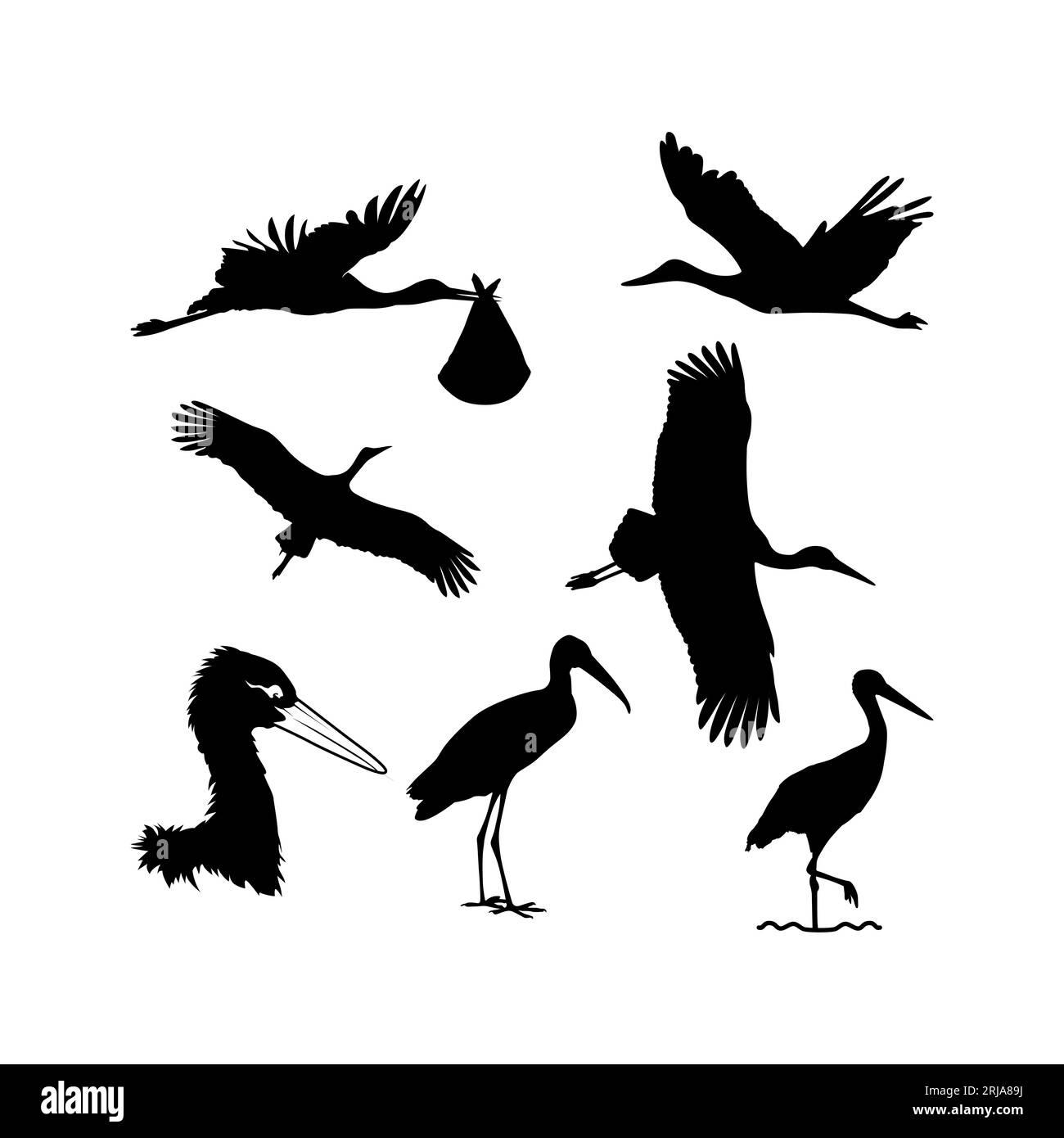 ispirazione per il design del set silhouette stork Illustrazione Vettoriale