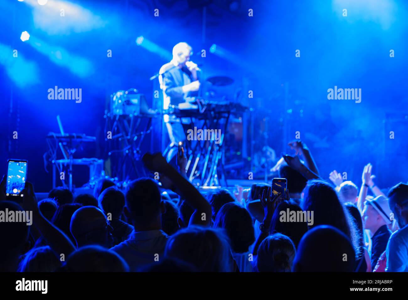 Vista posteriore della folla di persone irriconoscibili che ballano con le braccia alzate mentre si trovano vicino al palco durante il concerto del cantante e musicista maschile nel club Foto Stock