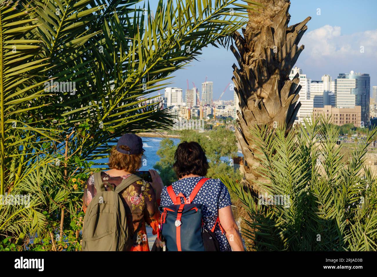Vista posteriore di donne irriconoscibili che viaggiano in abiti informali e zaini in piedi vicino alle palme e scattano foto mentre ammirano il moderno edificio cittadino Foto Stock