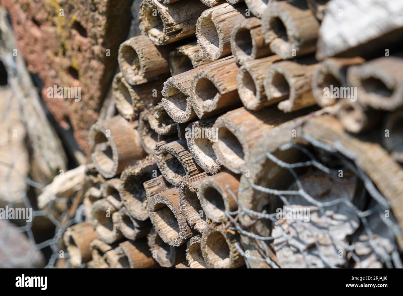 Primo piano di un hotel di insetti o di api in una giornata di sole. Foto Stock