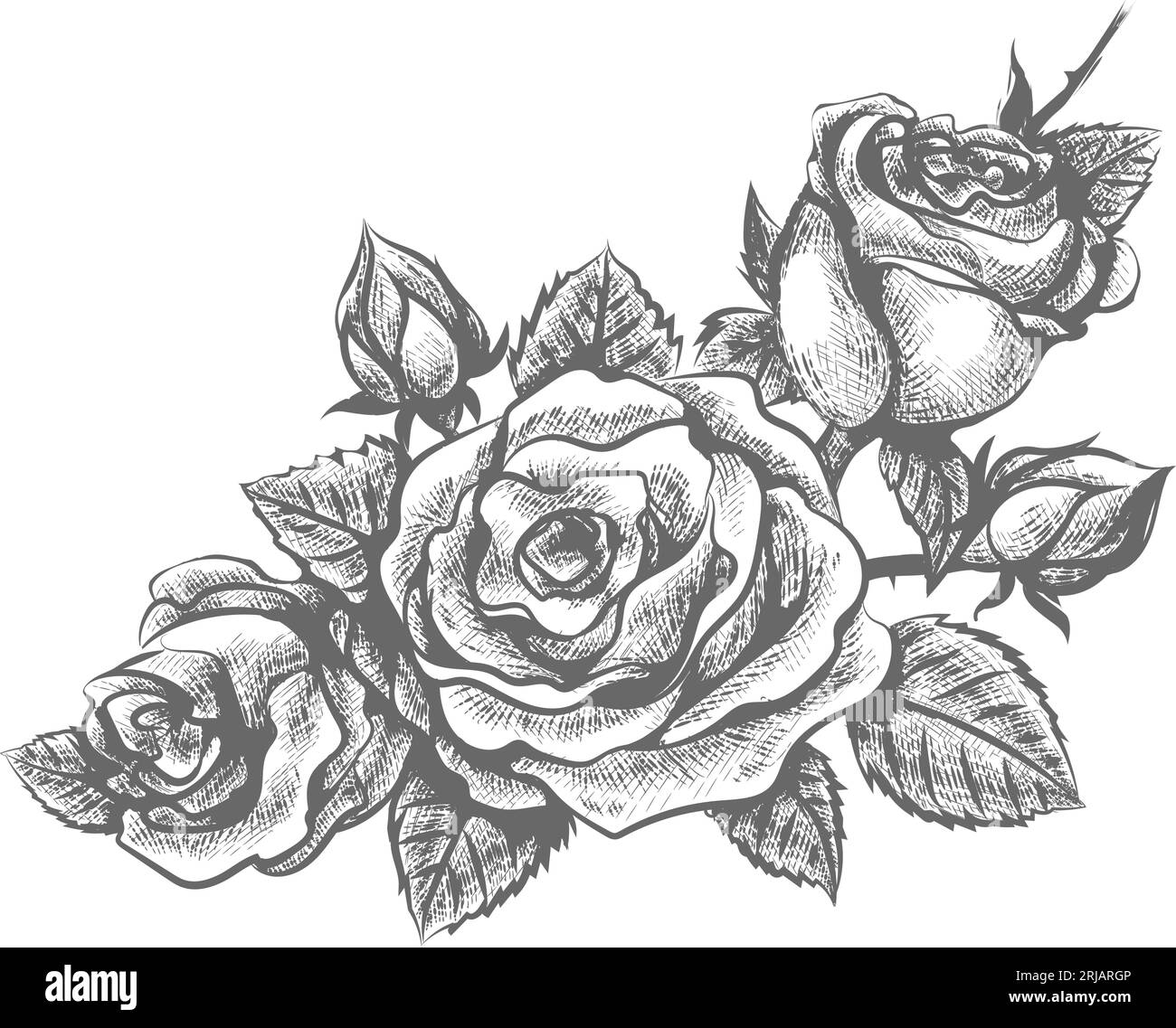 Rosa per incisione ornamentale Illustrazione Vettoriale