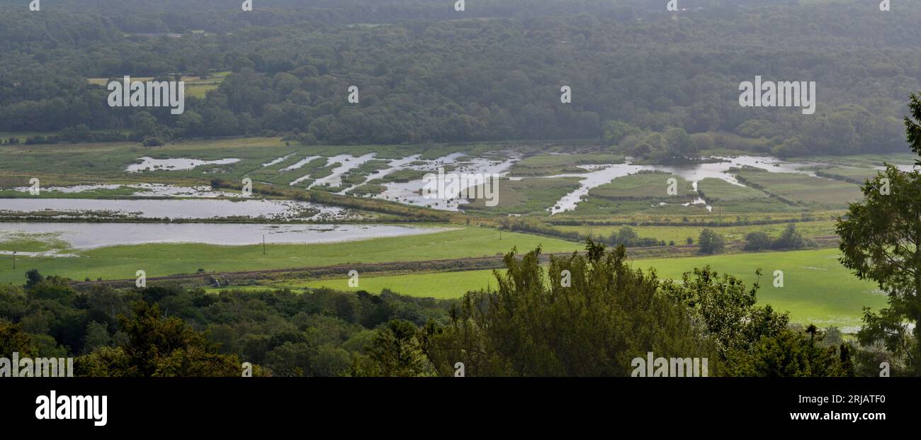 Leighton Moss, RSPB Bird Reserve, Silverdale, Lancashire Foto Stock