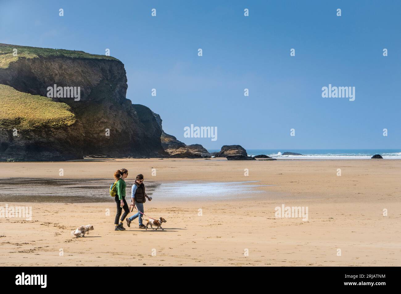 Passeggiate per cani sulla spiaggia di Mawgan Porth in Cornovaglia, Regno Unito. Foto Stock