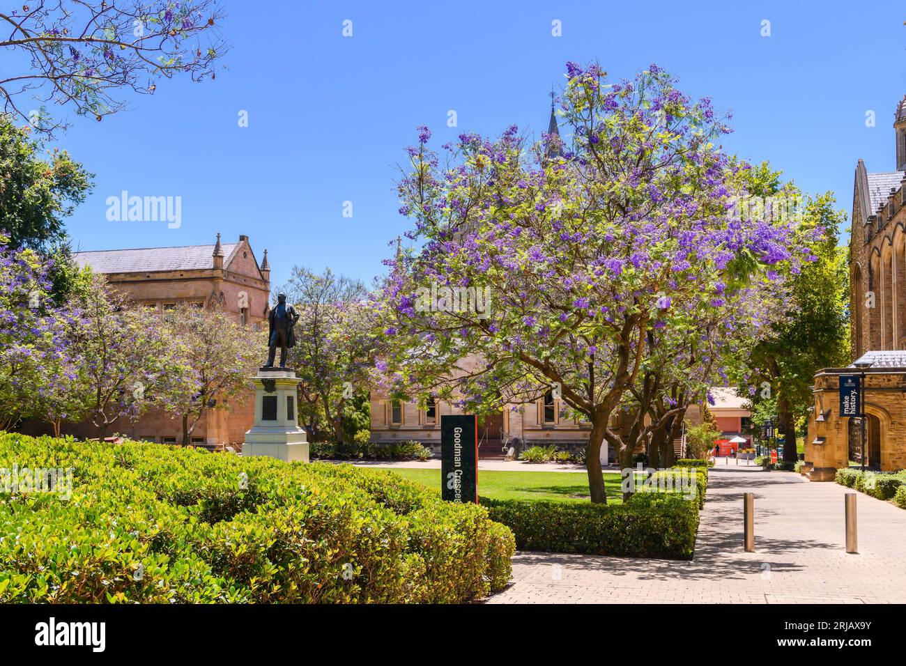 Adelaide, Australia meridionale - 28 dicembre 2022: Edificio del campus della città dell'Università di Adelaide con un monumento e fiori di alberi di jacaranda visti di fronte a G. Foto Stock