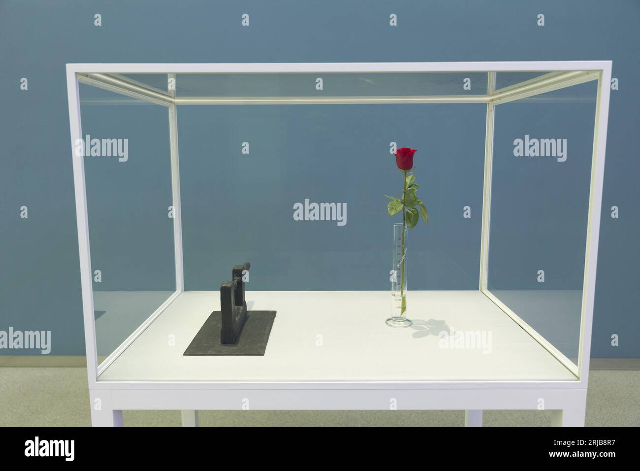 Installazione artistica di Jospeh Beuys Foto Stock