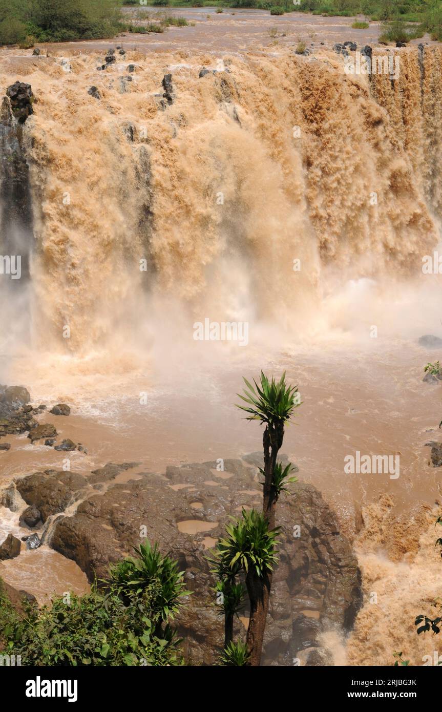 Blue Nile Falls o Tis Abay in Amharic. Amara Regione, vicino Bahir Dar e Tana Lago, Etiopia. Foto Stock