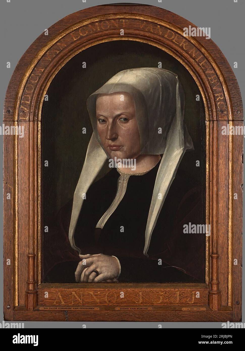 Ritratto di Judoca van Egmond van der Nieuburgh 1511 di Jacob Cornelisz van Oostsanen Foto Stock