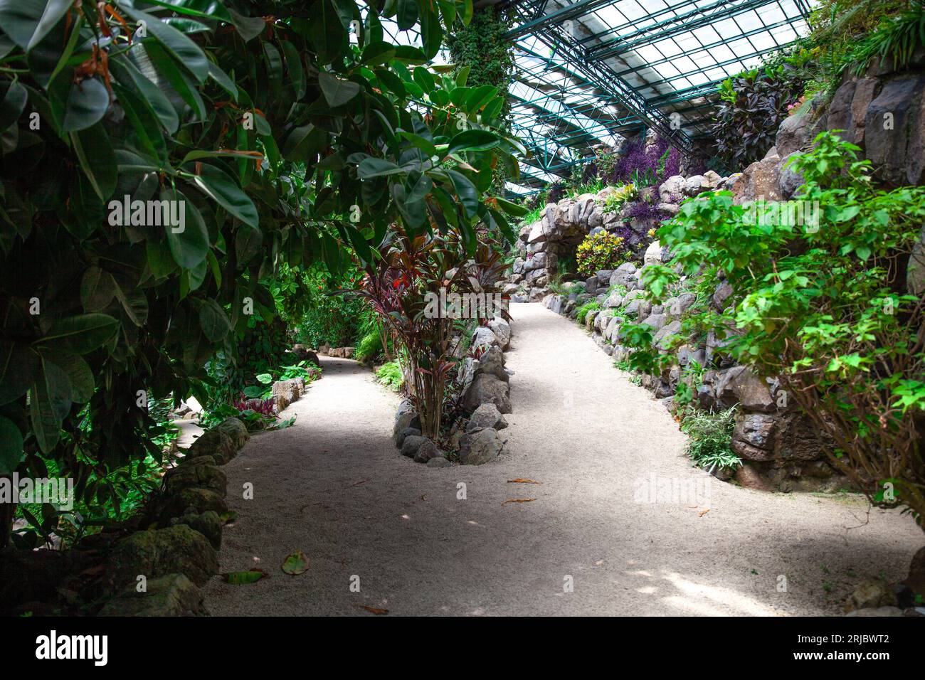 Lisbona, Portogallo, 30 luglio 2023: Serra l'Estufa Fria, giardini situati nel Parco Eduardo VII Foto Stock