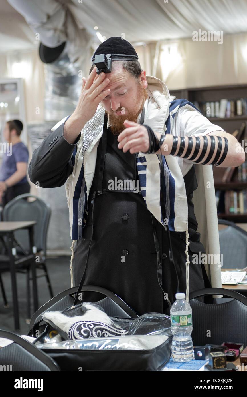 Un ebreo ortodosso indossa i suoi tefillin e li regola, prima dei servizi mattutini. Nella contea di Rockland, New York. Foto Stock