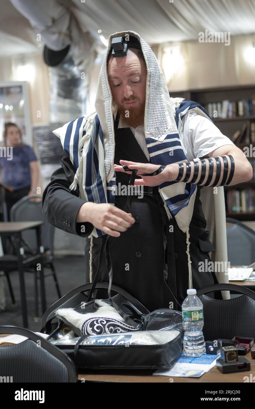 Un ebreo ortodosso indossa i suoi tefillin e li regola, prima dei servizi mattutini. Nella contea di Rockland, New York. Foto Stock