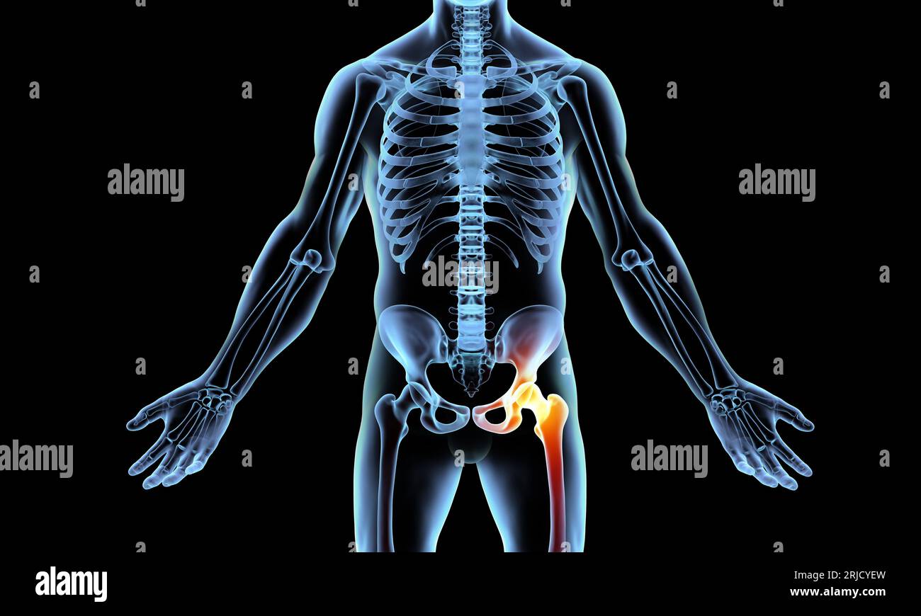 Illustrazione medica 3D della colonna vertebrale umana con aree dell'anca evidenziate su sfondo nero Foto Stock