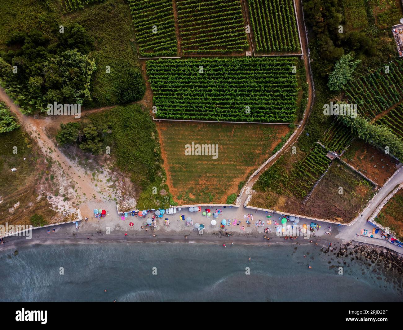 Spalato, Croazia. 28 luglio 2023. Foto aerea scattata il 27 luglio 2023. Mostra la spiaggia di Bilin zal, a Lumbarda, isola di Korcula, Croazia. Situata vicino alla città di Korcula, la baia di Bili zal è caratterizzata da una grande spiaggia sabbiosa protetta dai venti occidentali. Foto. Zvonimir Barisin/PIXSELL credito: Pixsell/Alamy Live News Foto Stock