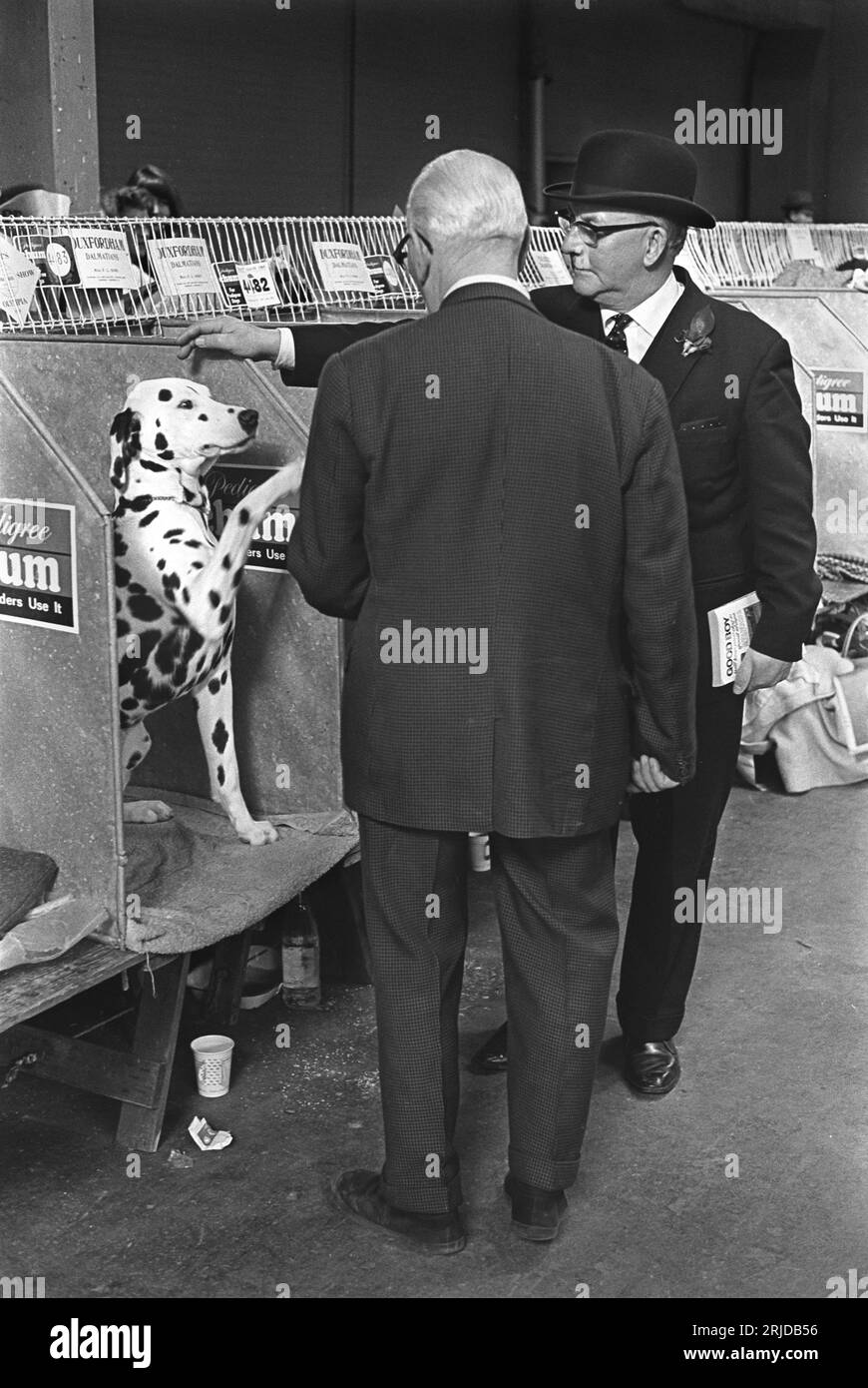 Crufts Dog Show 1960s UK. Il centro esposizioni Olympia. Due uomini che giocano a parlare con un cane dalmata. Earls Court, Londra, Inghilterra, febbraio 1968. HOMER SYKES. Foto Stock