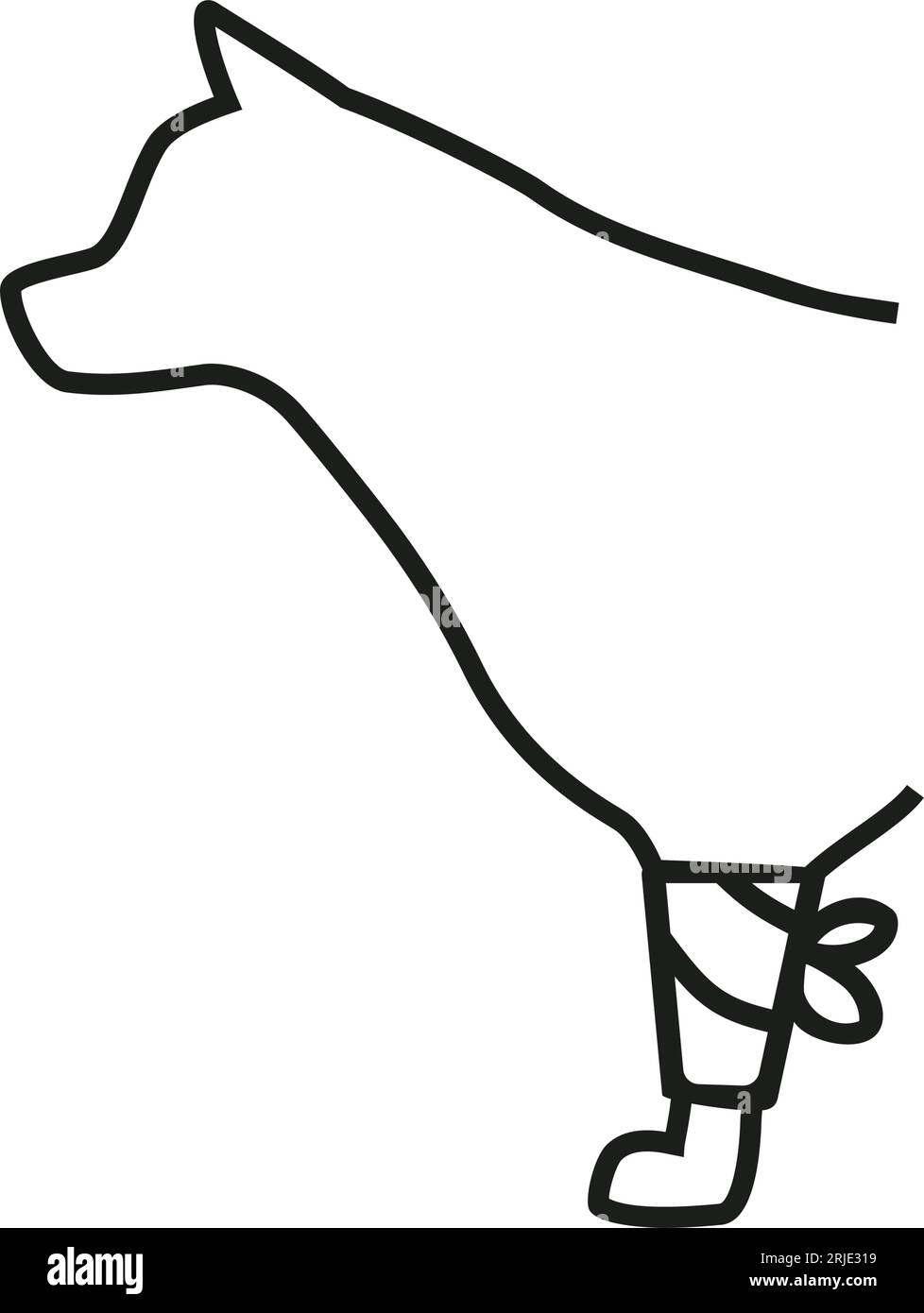 Icona di chirurgia animale Illustrazione Vettoriale