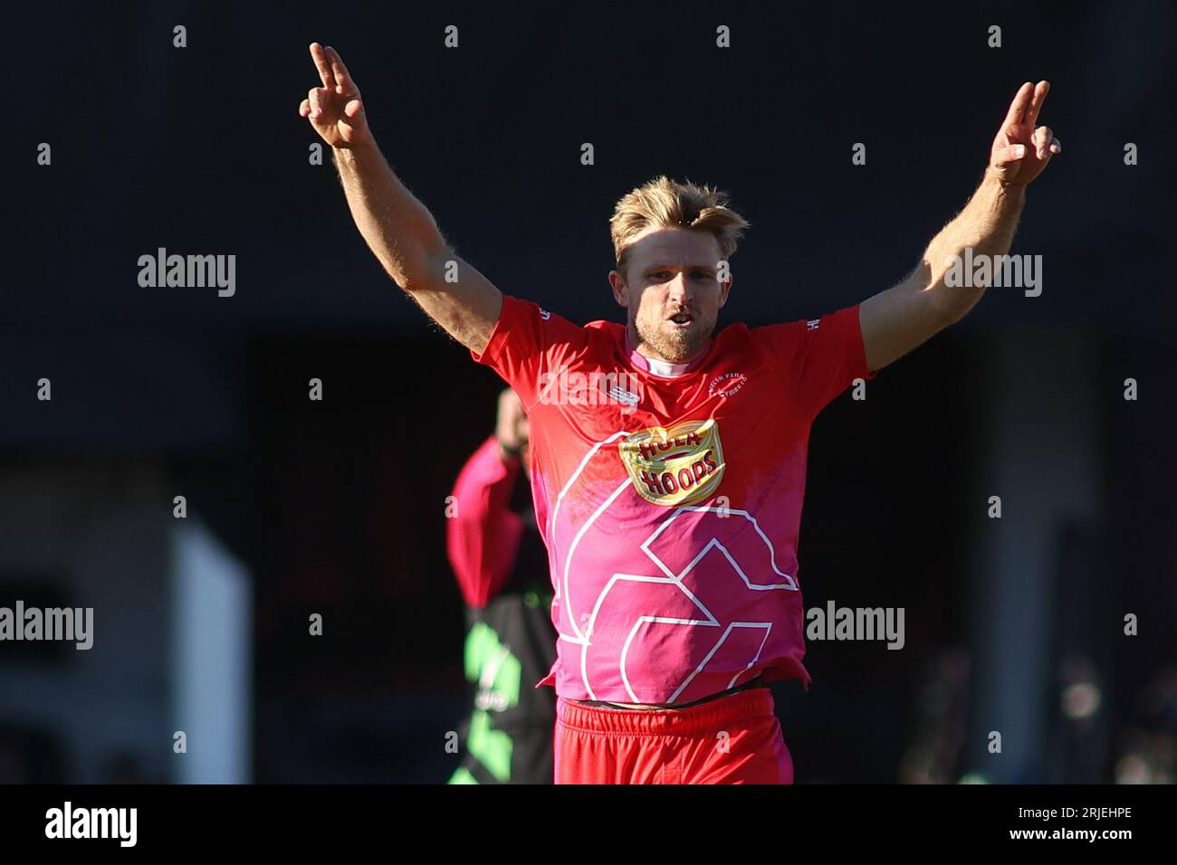 Clean Slate Headingley Stadium, Leeds, West Yorkshire, Regno Unito. 22 agosto 2023. Northern Superchargers contro Welsh Fire durante la Hundred Double Header allo stadio Clean Slate Headingley. David Willey di Welsh Fire celebra il wicket di Tom Banton di Northern Superchargers Credit: Touchlinepics/Alamy Live News Foto Stock