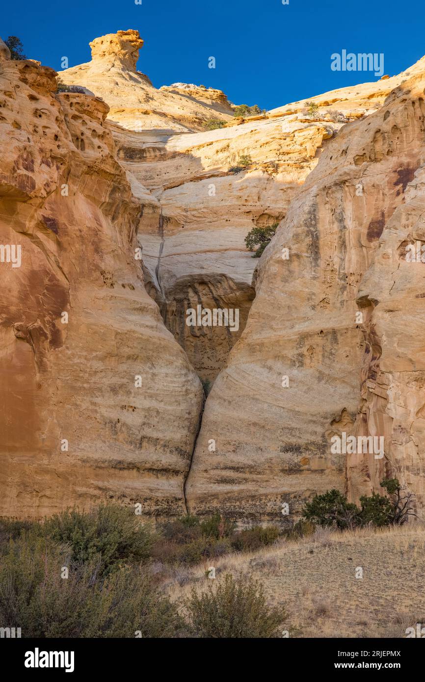 Le strisce di vernice del deserto in questa tasca erosa dell'arenaria Navajo a San Rafael si gonfiano nello Utah, a causa della lisciviazione dei minerali. Foto Stock