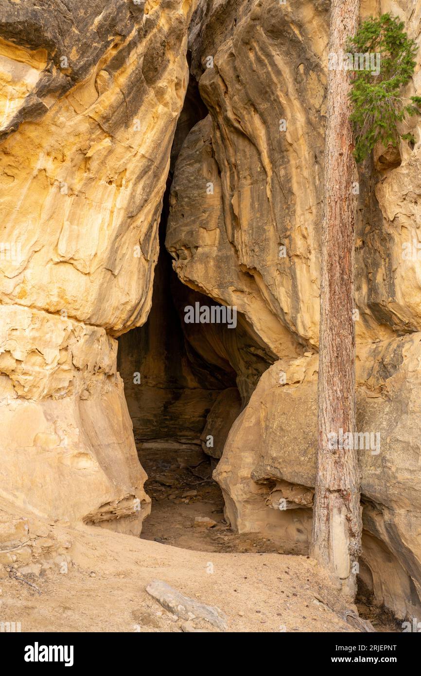 Una caverna nell'arenaria di San Rafael si gonfia nello Utah centro-meridionale. Foto Stock