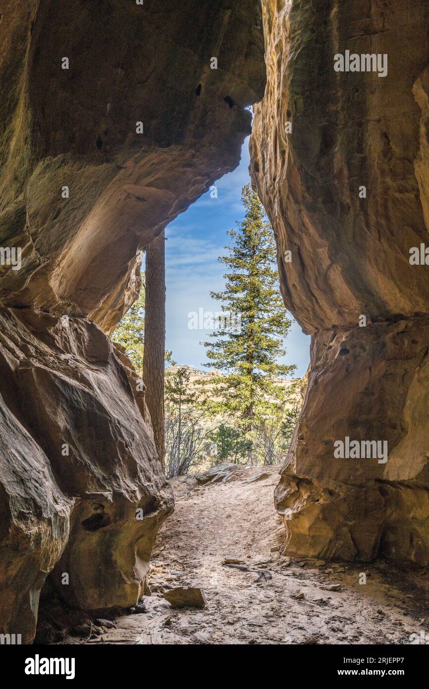 Una caverna nell'arenaria di San Rafael si gonfia nello Utah centro-meridionale. Foto Stock