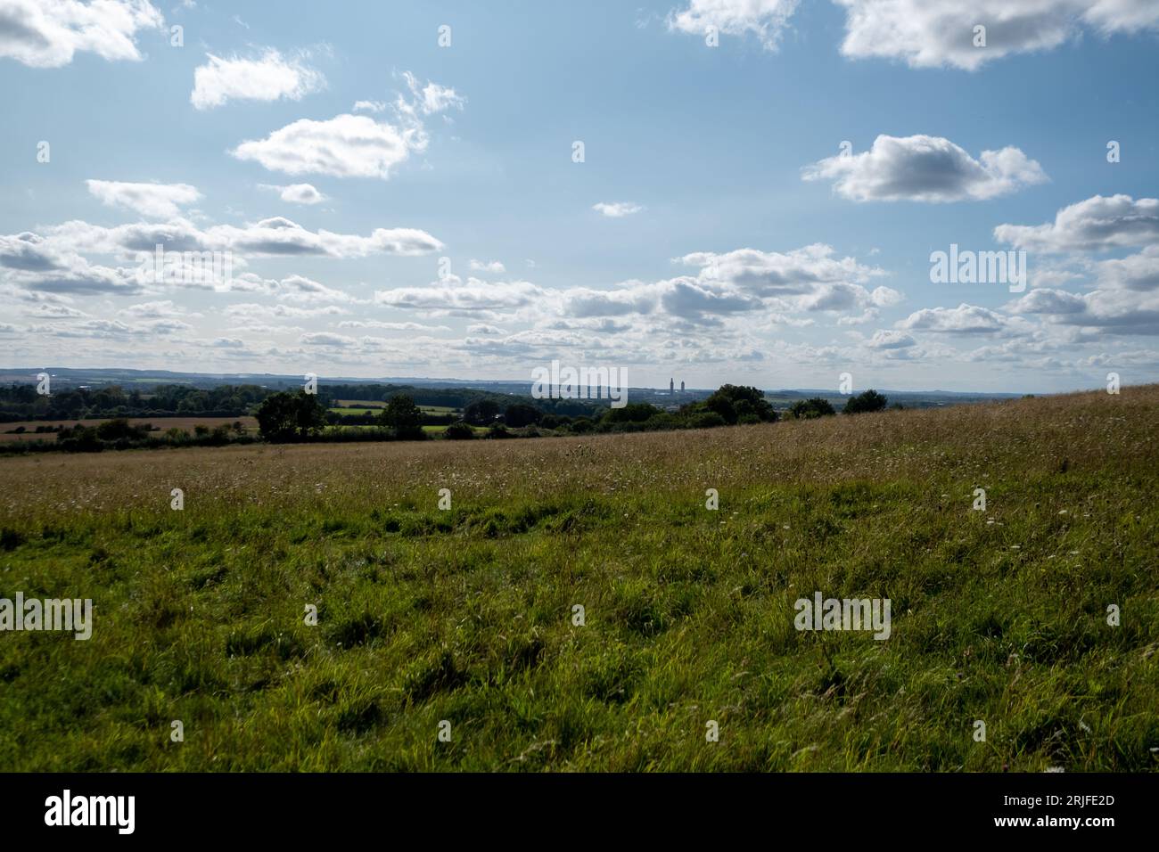 Wittenham Clumps, Oxfordshire Foto Stock