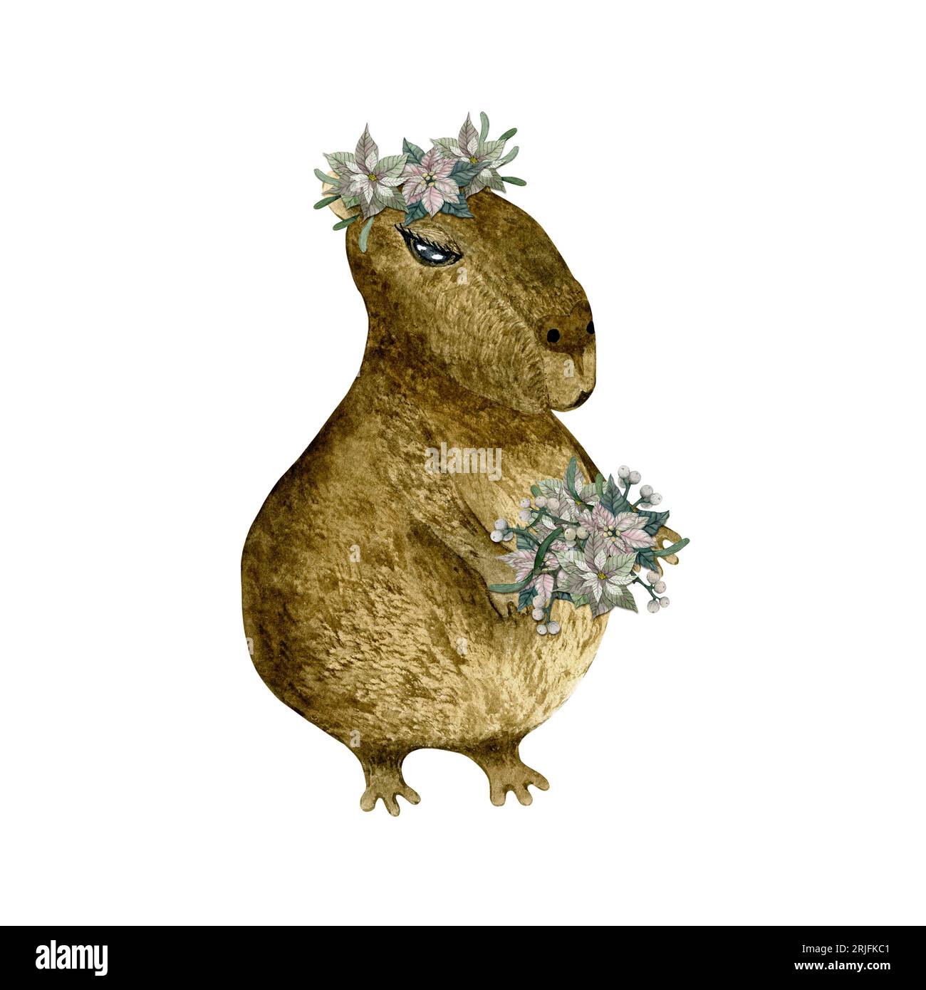 Carino animale sudamericano. Capybara. Wreath, bouquet di poinsettia e vischio. Illustrazione ad acquerello isolata Foto Stock