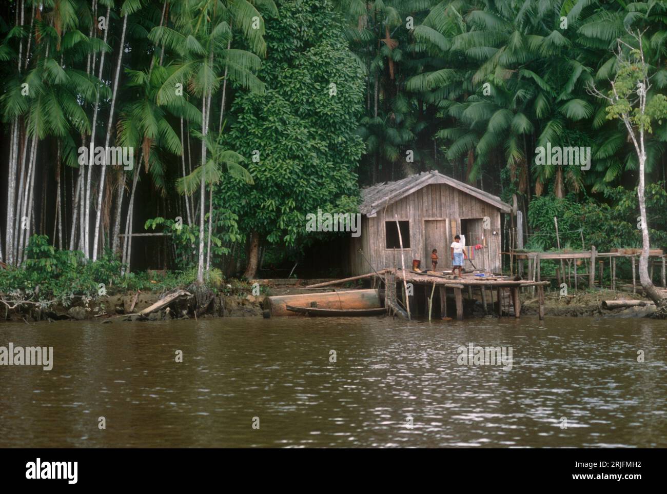 Brasile, regione Amazon, Stato Para. Amazzonia - complesso estuario di Tocantins, isola di Marajo. Casa degli abitanti lungo il fiume. Palme azotate (assai) (Euterpe olerac Foto Stock