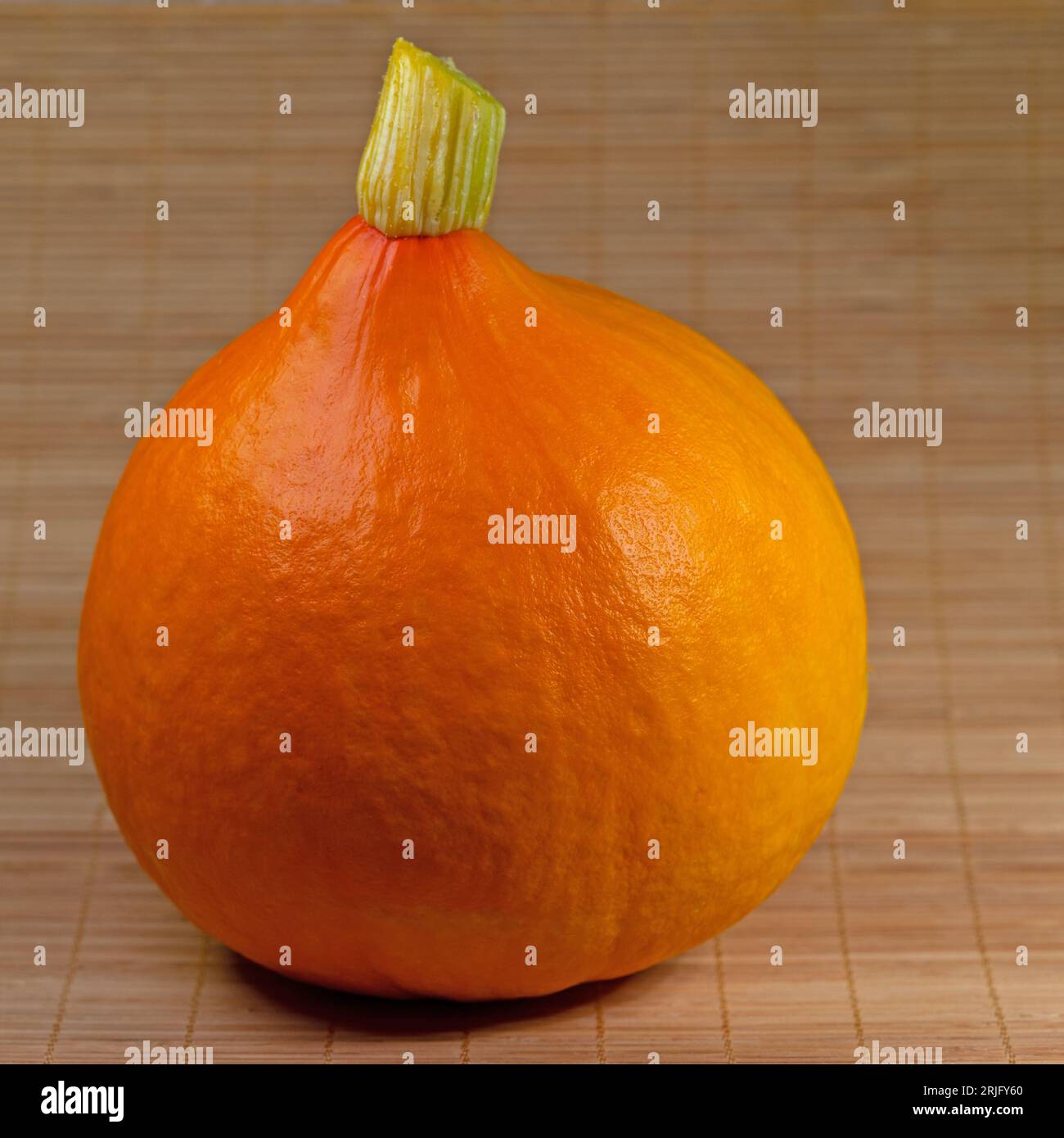 Hokkaido squash, Cucurbita maxima, in primo piano Foto Stock
