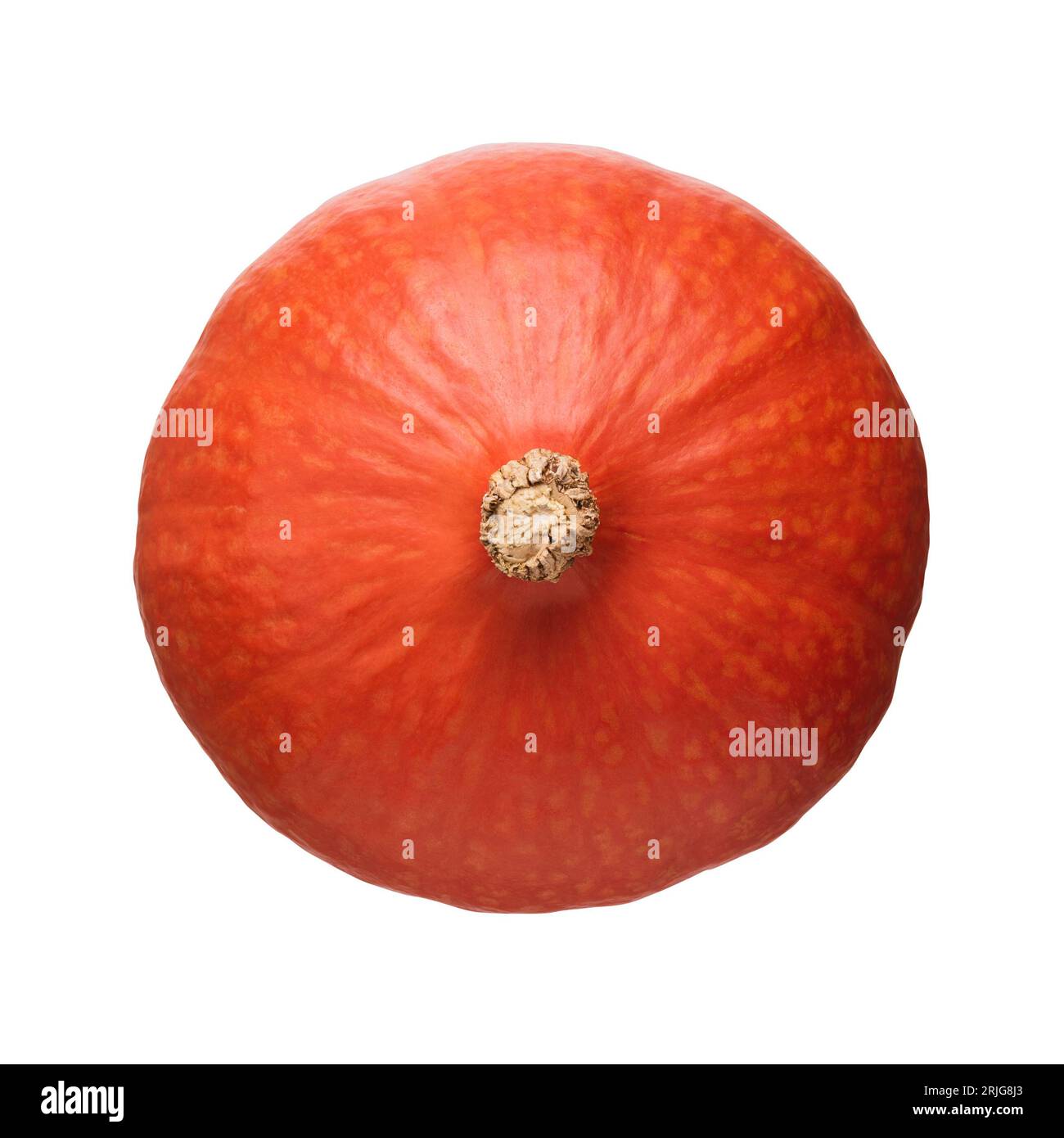 Zucca Hokkaido o zucca rossa Kuri isolata su bianco Foto Stock