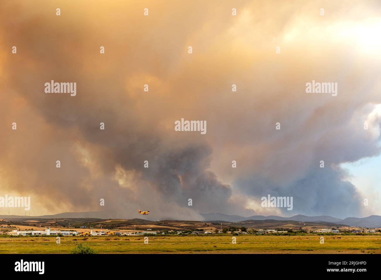 Devastante incendio ad Alexandroupolis Evros, Grecia, disastro ecologico e ambientale, fumo copriva il cielo. Foto Stock