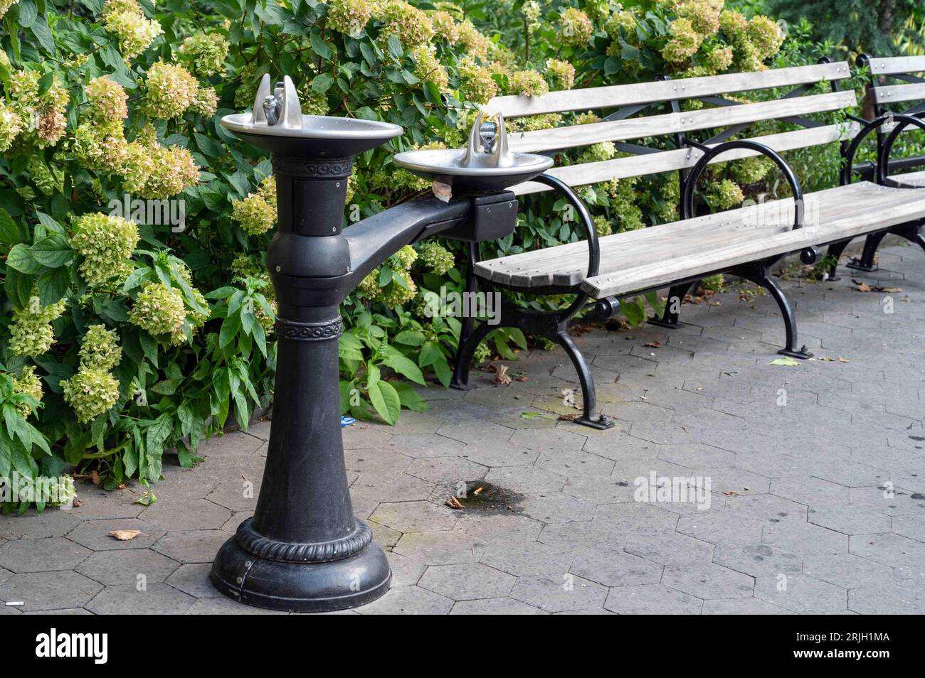 Bellissima fontana in metallo antico a Battery Park New York City di fronte a un lussureggiante giardino di ortensie accanto a una panca vuota del parco d'epoca. Copia spac Foto Stock