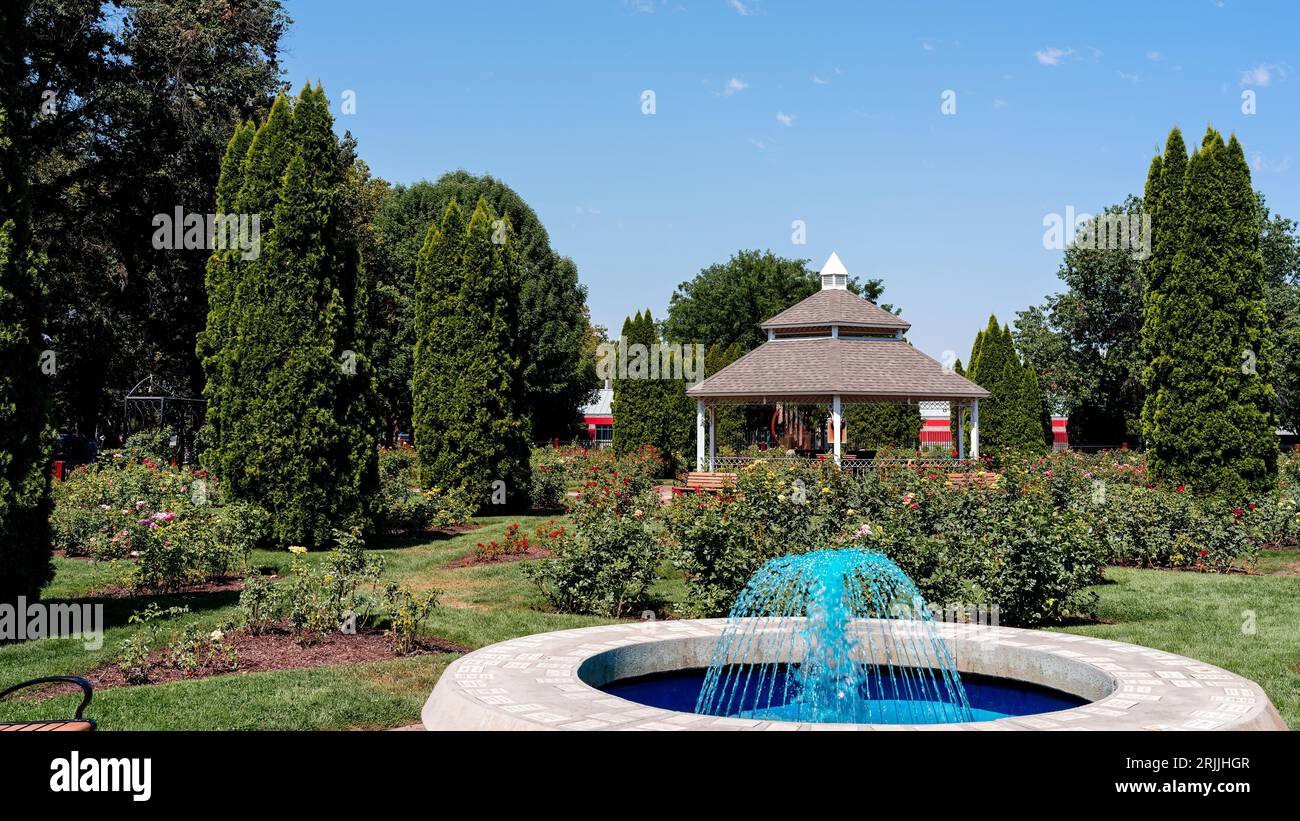 Giorno d'estate in un roseto a Boise, Idaho Foto Stock