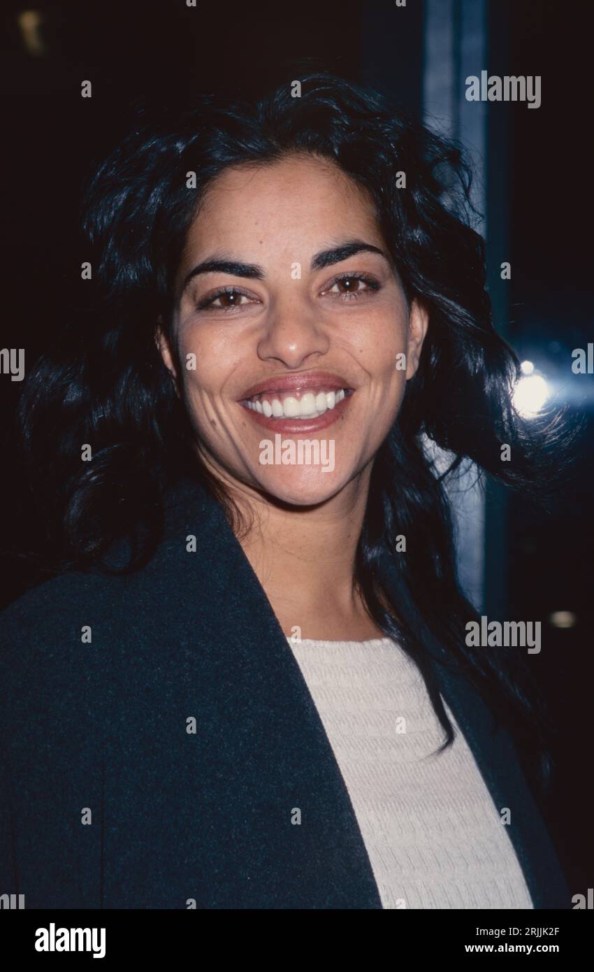 Sarita Choudhury partecipa all'after-party per la serie TV '100 Centre Street' al Guastavino's di New York il 10 gennaio 2001. Crediti fotografici: Henry McGee/MediaPunch Foto Stock
