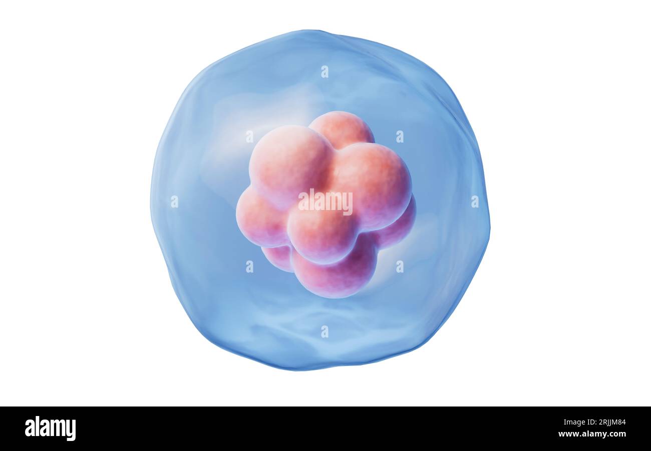 Cellula blu isolata con concetto di biologia, rendering 3D. Disegno digitale. Foto Stock