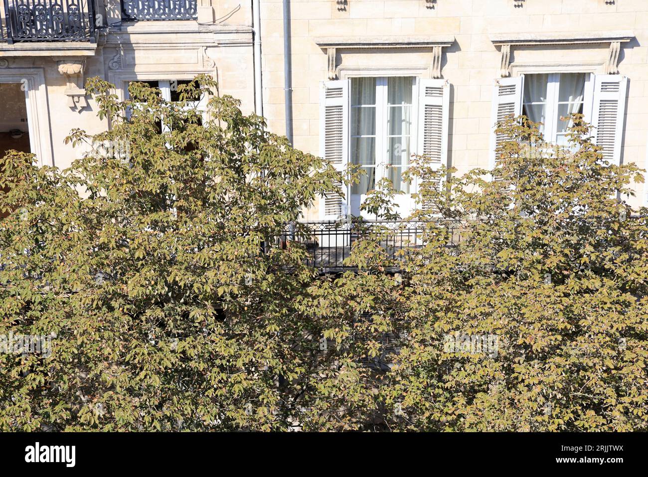 Réchauffement climatique, canicule, chaleur, arbres et végétalisation des villes. Pendant la canicule l'après-Midi dans le centre ville de Bordeaux le Foto Stock