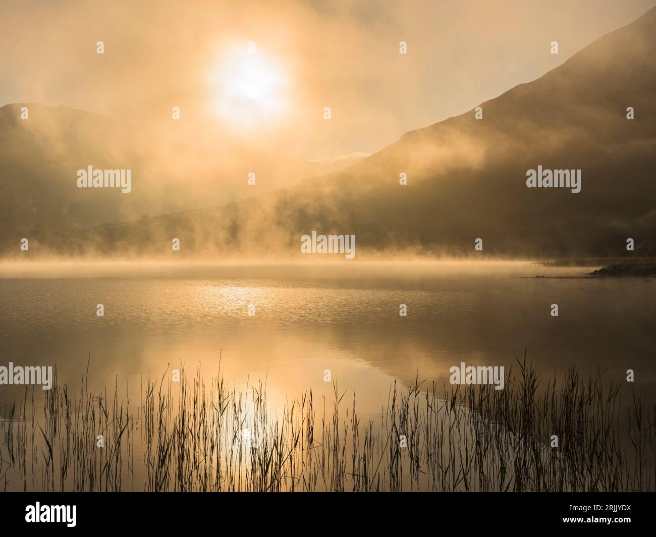 Nebbia di prima mattina sul lago Brothers Water, nel distretto lacustre, Cumbria, Inghilterra, Regno Unito Foto Stock