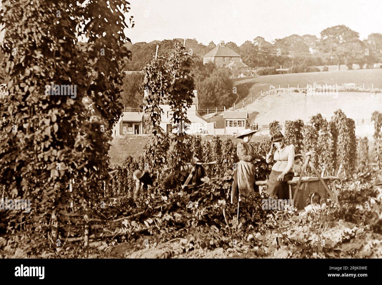 The Hop Garden, Goudhurst, Kent, periodo vittoriano Foto Stock