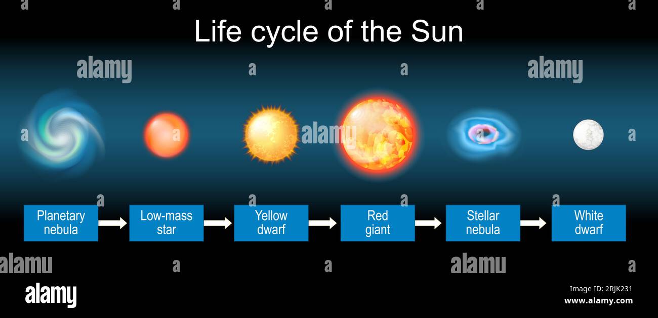 Ciclo di vita solare. Evoluzione stellare da nebulosa planetaria e stella a bassa massa a nana gialla, gigante rosso, nebulosa stellare e nana bianca. Illust vettoriale Illustrazione Vettoriale