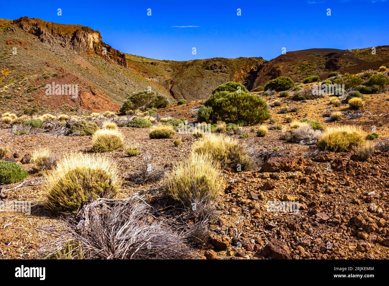 Fai trekking attraverso il parco nazionale di Las Canadas, il parco nazionale del Teide, Tenerife, Spagna Foto Stock