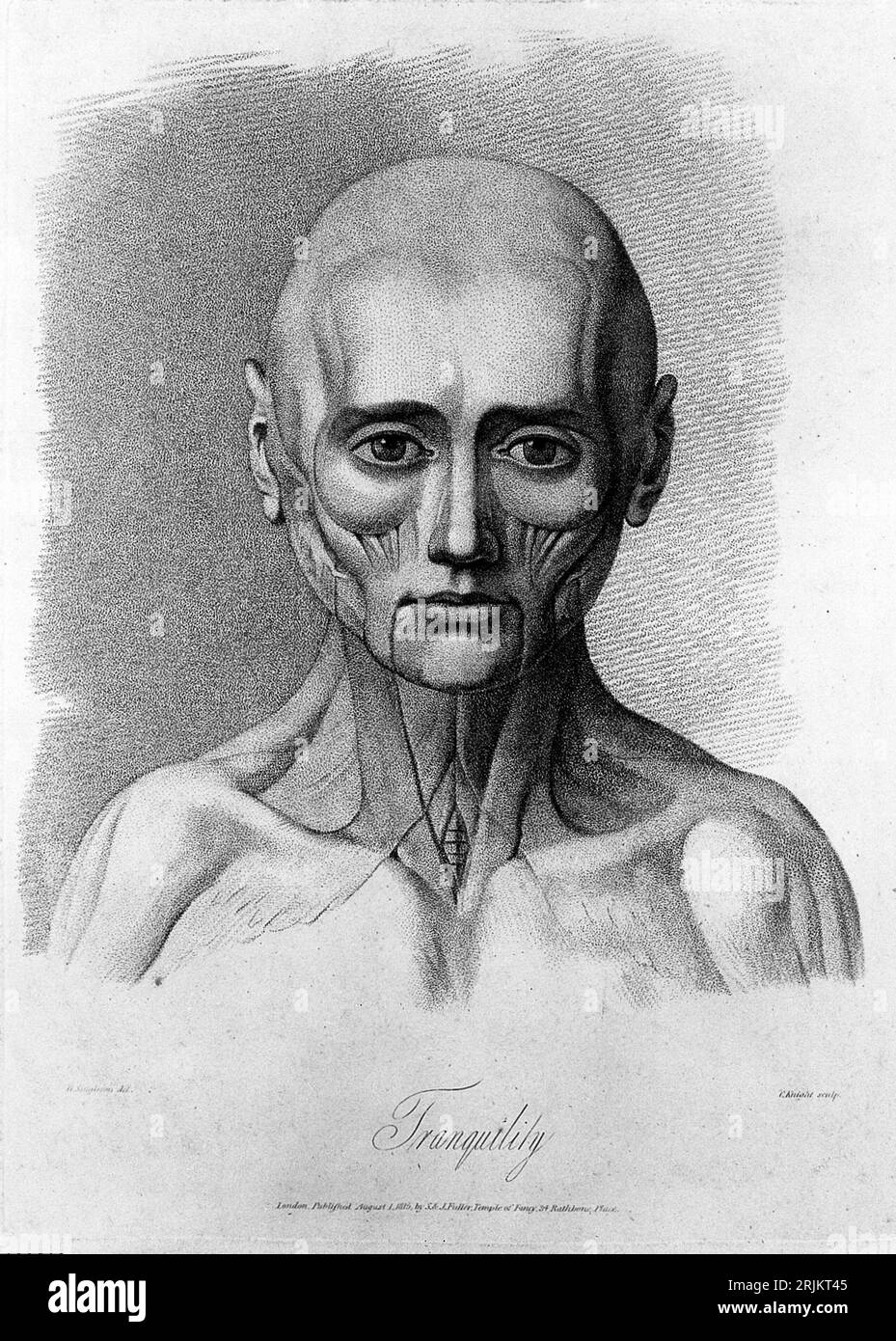 Questa particolare illustrazione è stata creata nel 1815 da H. Singleton dopo un originale di George Stubbs. Mostra lo stato dei muscoli facciali durante Foto Stock