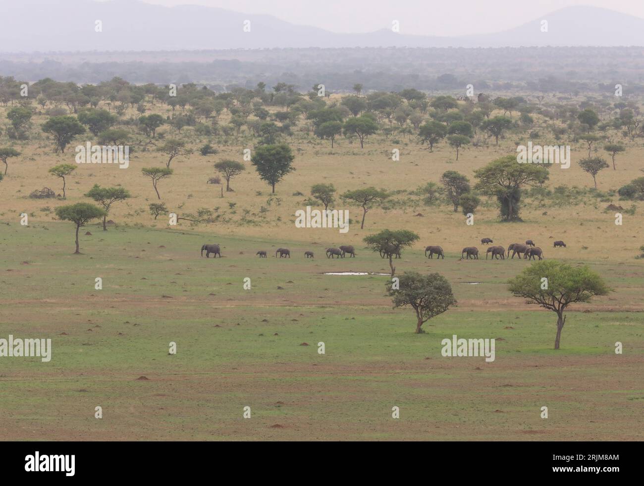 TANZANIA AFRICA Foto Stock