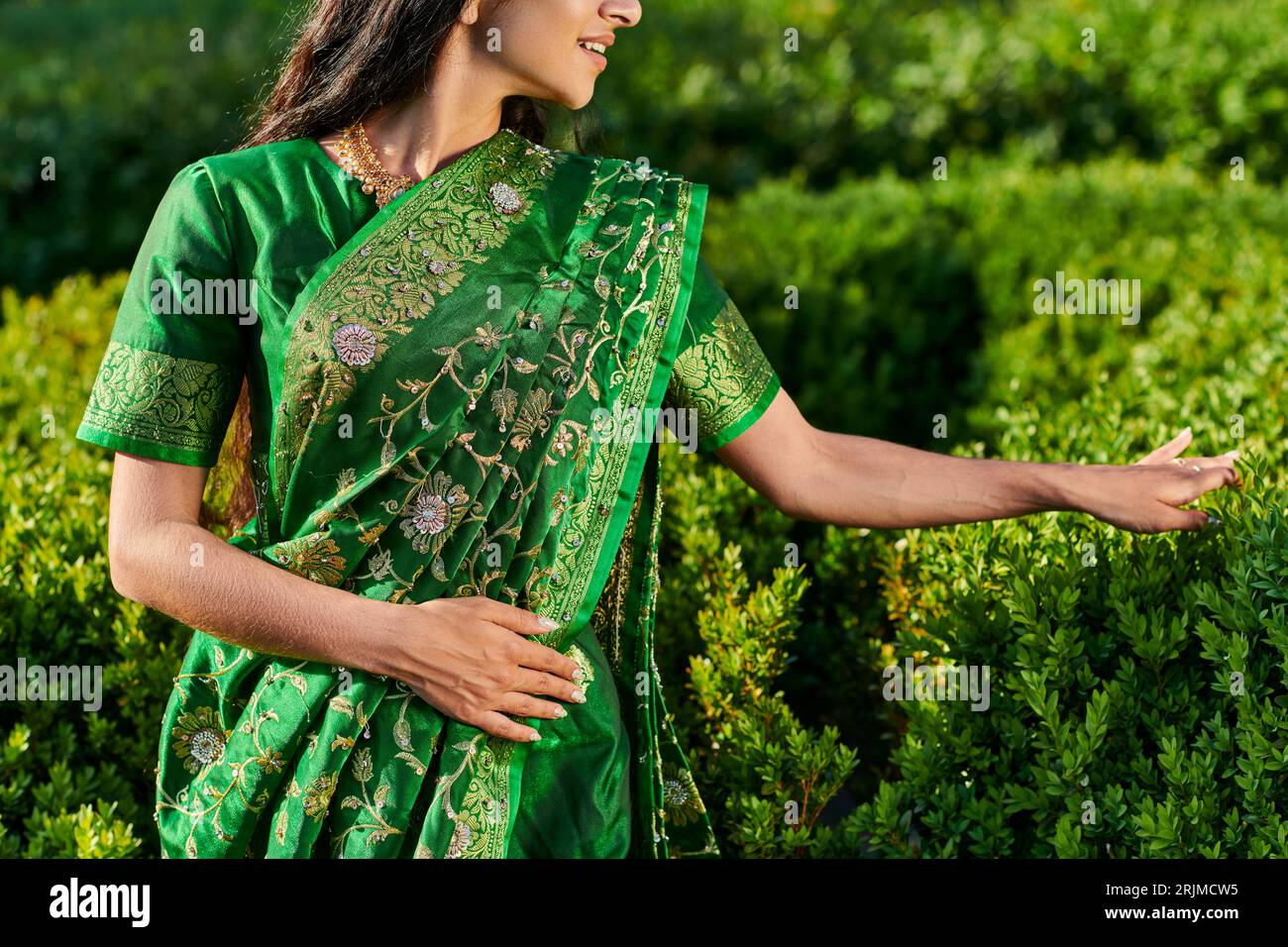 vista ritagliata dell'elegante giovane donna sorridente in sari verdi con motivi che toccano le piante nel parco Foto Stock